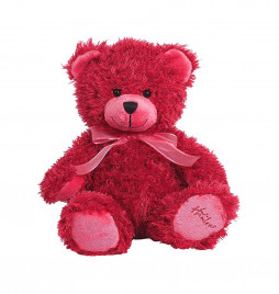Teddy Bear With Personalized